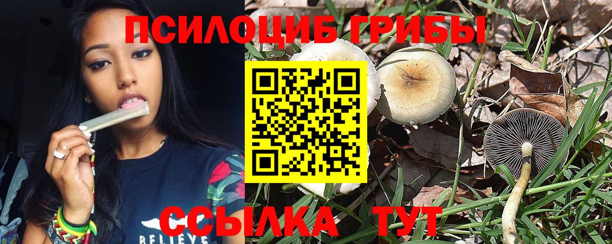 Псилоцибиновые грибы Psilocybine cubensis  Галлюциногенные грибы мухоморы  Вход с VPN  Назарово 